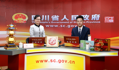  - 自貢市政府網(wǎng)站集約化平臺